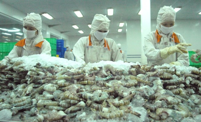 Localities urged to gear towards shrimp production targets ảnh 1
