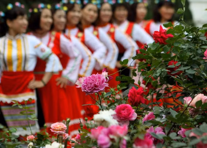 Thousands of people join Bulgarian rose festival in Hanoi ảnh 1