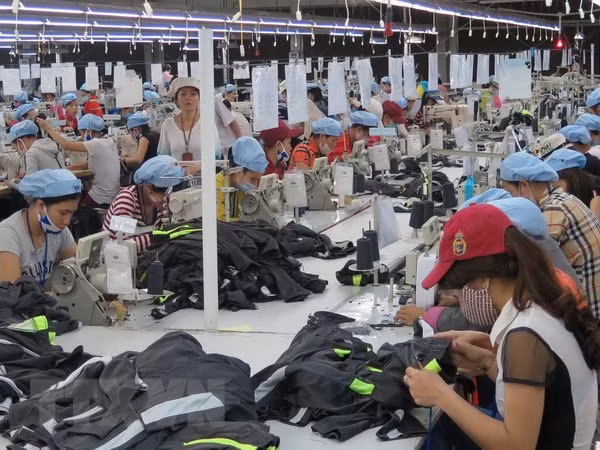 Dong Nai works to sharpen competitive edge for businesses ảnh 1