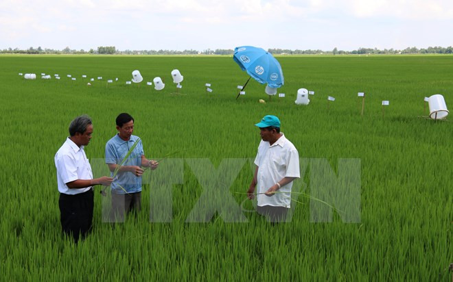Vietnam eyes to reduce greenhouse gas emissions by 8 pct by 2030 ảnh 1