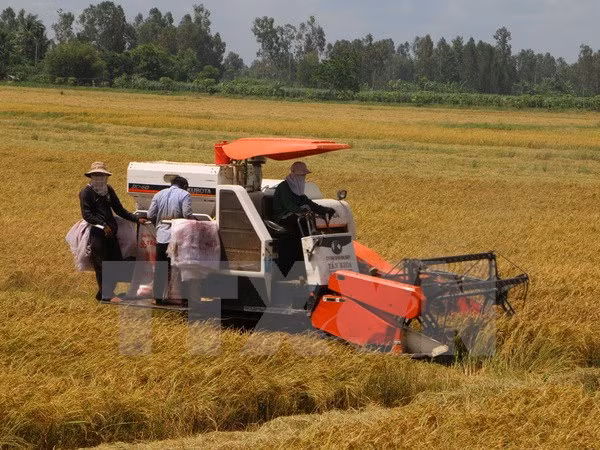 DPRK delegation seeks investment opportunities in Hau Giang ảnh 1