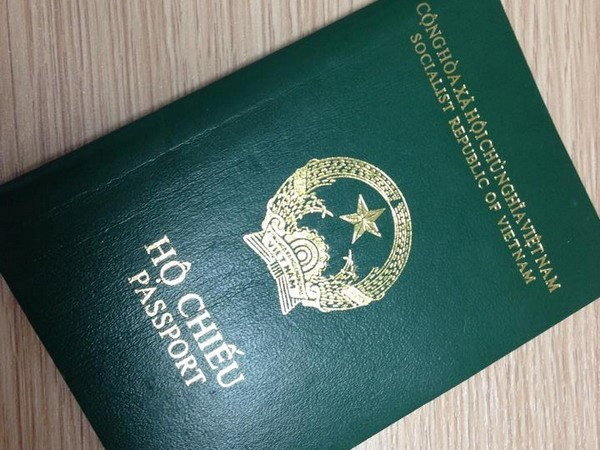 Visas waived for Vietnamese expatriates ảnh 1