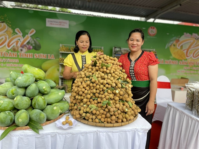 Son La mango and safe farm produce week launched in Hanoi ảnh 1