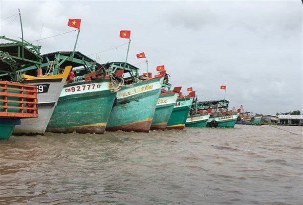 Ca Mau monitors fishing vessels going through estuaries ảnh 1 Ca Mau monitors fishing vessels going through estuaries ảnh 1