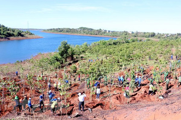 📝 OP-ED: Vietnam steadfast in “green path” for sustainable future ảnh 5