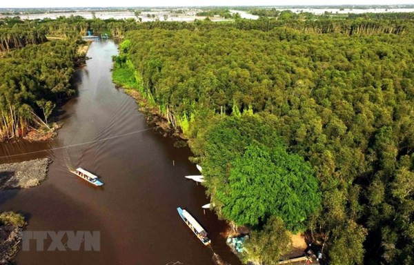 📝 OP-ED: Vietnam steadfast in “green path” for sustainable future ảnh 2