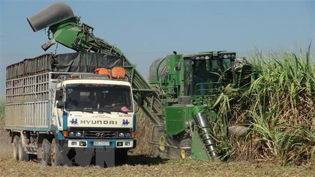 Anti-dumping investigation into cane sugar extended ảnh 1