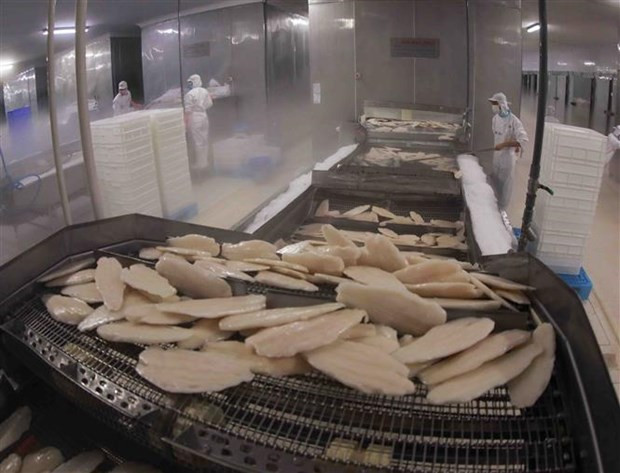 One more Vietnamese pangasius exporter to US enjoys zero tariff ảnh 1