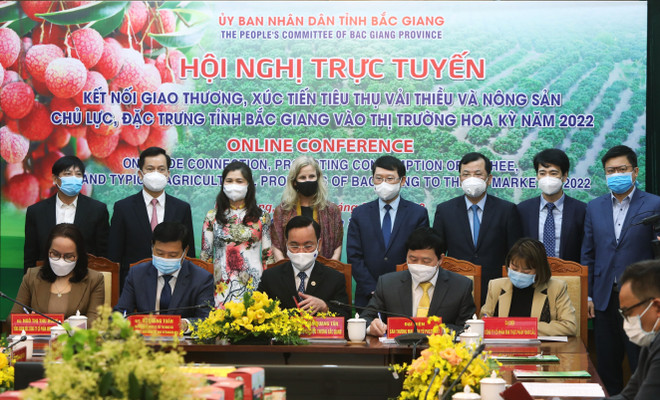 Bac Giang province moves to boost lychee export to US ảnh 1 Bac Giang province moves to boost lychee export to US ảnh 1