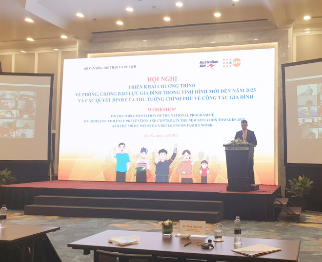 Vietnam resolved to tackle domestic violence: Workshop ảnh 2
