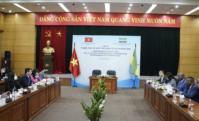 Vietnam, Gabon seek to strengthen economic, trade links ảnh 1 Vietnam, Gabon seek to strengthen economic, trade links ảnh 1