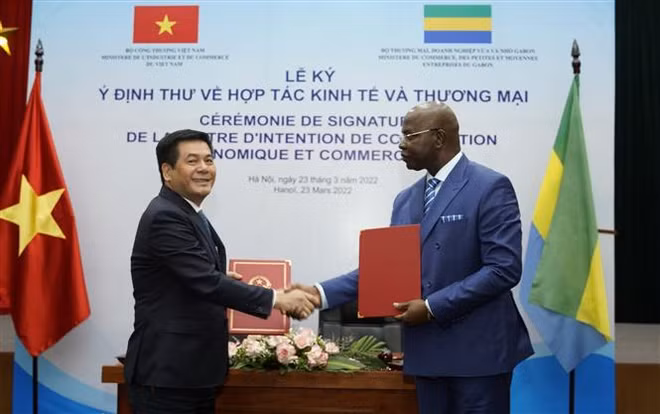 Vietnam, Gabon seek to strengthen economic, trade links ảnh 2