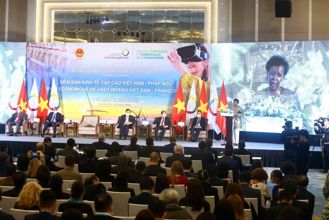 Vietnam plays active role in Francophone community ảnh 2