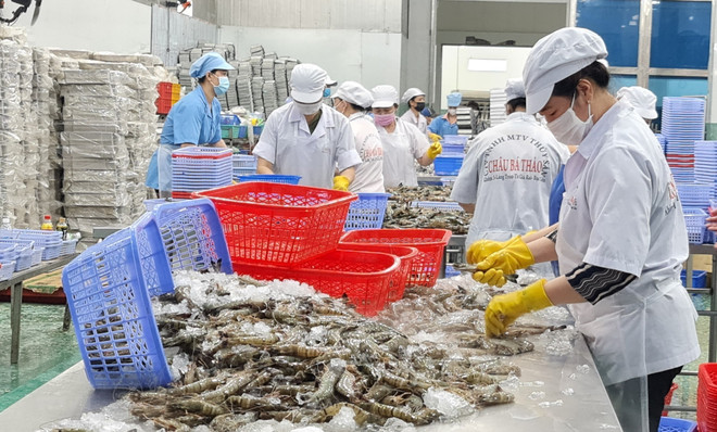 Agro-forestry-fishery exports set new record in 2022 ảnh 1