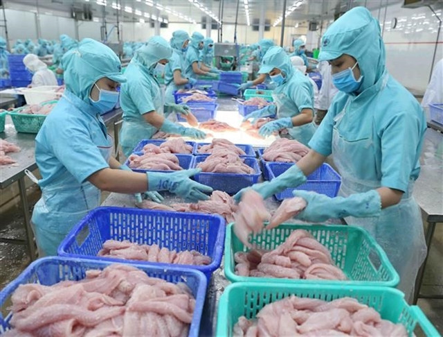 COVID quarantine for imported processed seafood to be removed ảnh 1 COVID quarantine for imported processed seafood to be removed ảnh 1