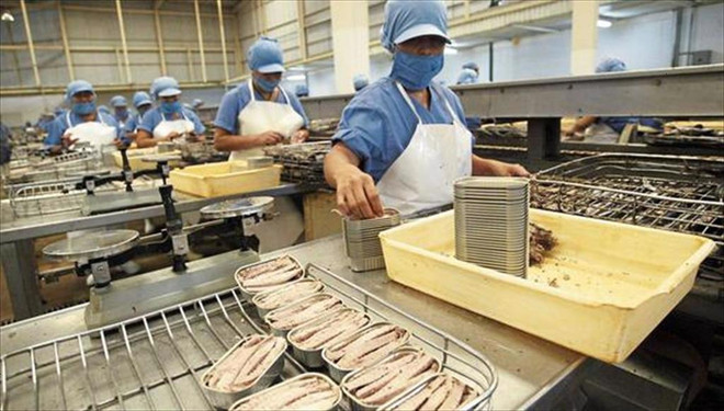 Vietnam’s tuna exports to France up 203% in 7 months ảnh 1
