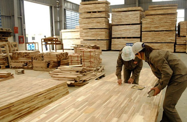 US extends duty evasion investigation into plywood from Vietnam ảnh 1