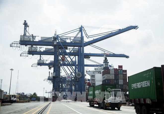 HCM City: Port infrastructure fees halved from August 1 ảnh 1