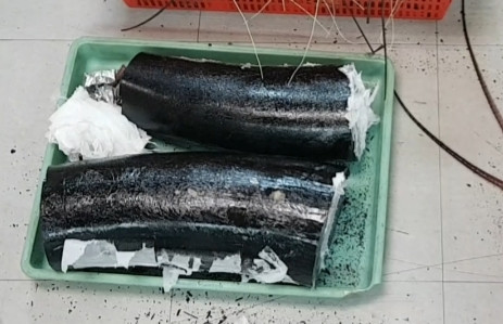 Elephant tusk trafficker arrested in HCM City ảnh 1