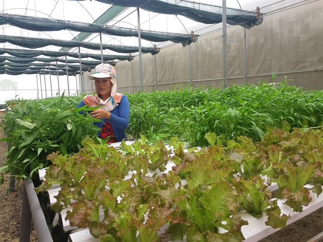 Companies urged to use technology to improve goods quality ảnh 1