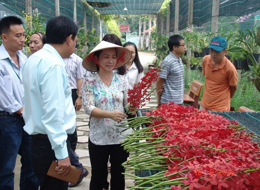 Rural districts in HCM City to develop agri-tourism ảnh 1 Rural districts in HCM City to develop agri-tourism ảnh 1