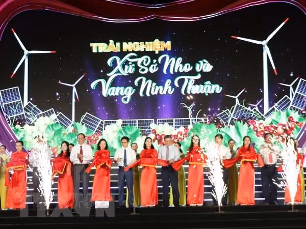 Grape and wine festival opens in Ninh Thuan province ảnh 1