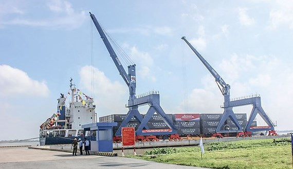 Weak logistics services cause great losses to Mekong Delta exporters ảnh 1