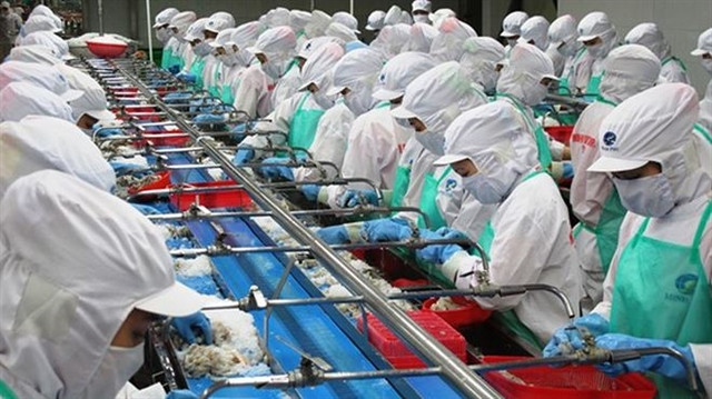 Minh Phu Seafood to sell 75.7 million shares this year ảnh 1