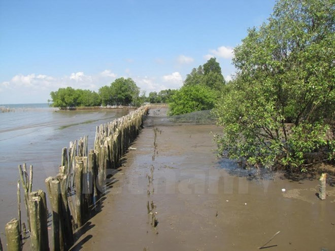 Workshop looks at Vietnam’s response to climate change ảnh 1