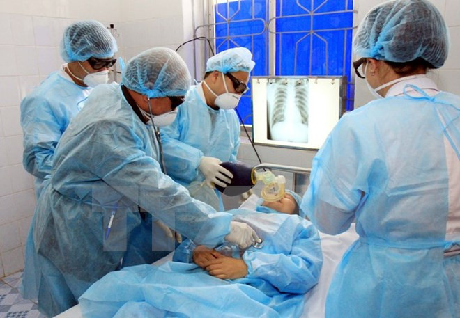 Efforts scaled up to prevent winter-spring diseases ảnh 1 Efforts scaled up to prevent winter-spring diseases ảnh 1