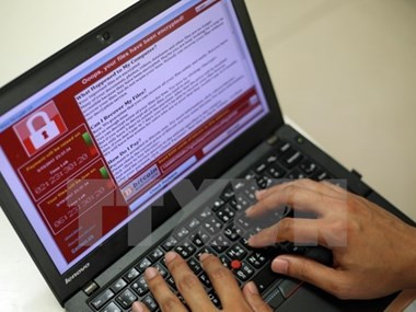 Vietnamese users lose 540 million USD from viruses: BKAV ảnh 1