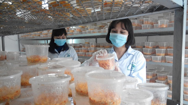 Traditional medicine prices vary widely ảnh 1