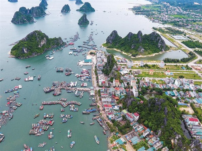 Experts discuss management models for economic zones ảnh 1 Experts discuss management models for economic zones ảnh 1