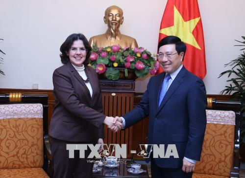 Deputy PM hosts new Cuban ambassador ảnh 1