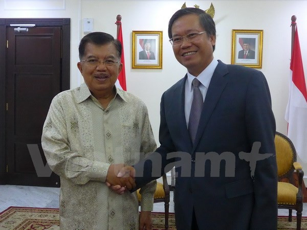 VN-Indonesia relationship contributes to ASEAN development: diplomat ảnh 1