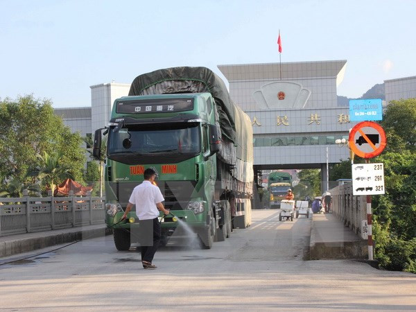 Ministry instructs strong measures to prevent H7N9 avian flu ảnh 1
