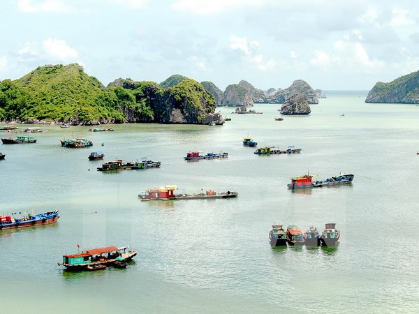 Hai Phong pushes tourism development ảnh 1 Hai Phong pushes tourism development ảnh 1