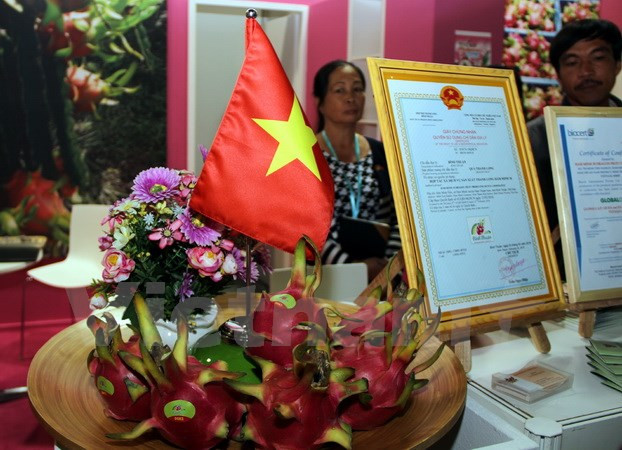 Vietnam’s dragon fruits introduced at Berlin international fair ảnh 1 Vietnam’s dragon fruits introduced at Berlin international fair ảnh 1