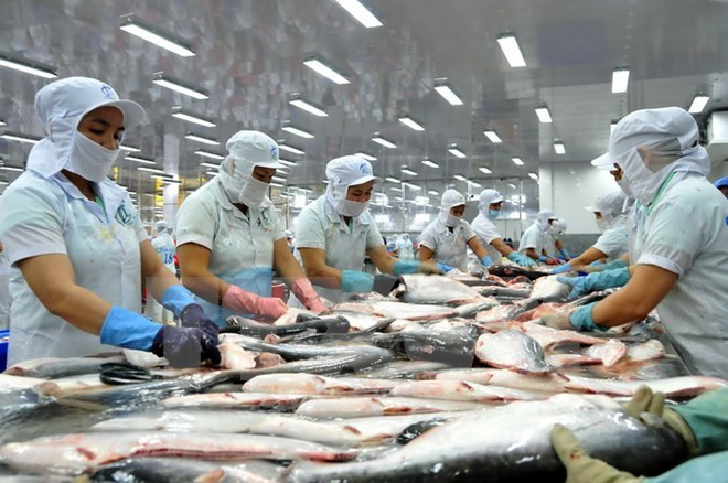 Tra fish sector should target Asian market: experts ảnh 1 Tra fish sector should target Asian market: experts ảnh 1