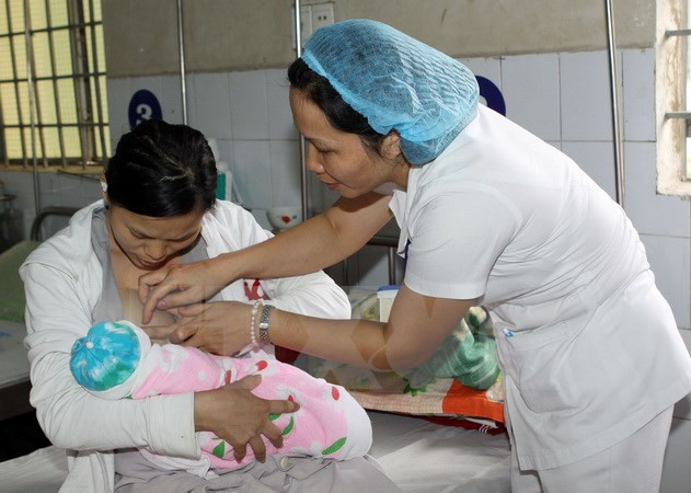 Vietnam’s first breast milk bank opens in Da Nang ảnh 1