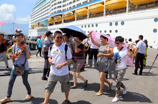 Chan May port expects to welcome 49 cruise ships in 2017 ảnh 1