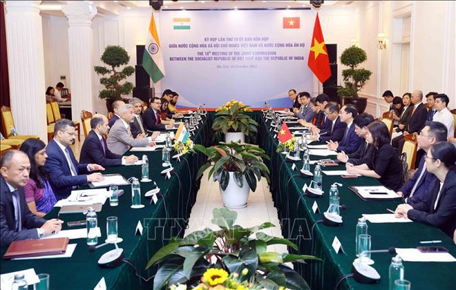 Indian scholar hails Vietnam’s diplomatic achievements ảnh 1