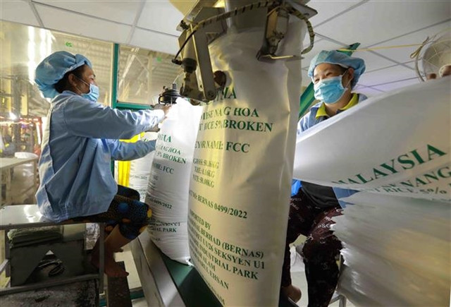 2023 export success boosts rice sector outlook ảnh 1