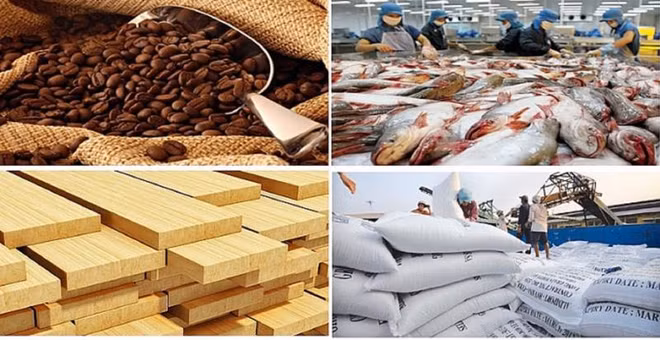 Agro-forestry-fishery sector posts trade surplus of over 12 bln USD in 2023 ảnh 1
