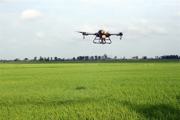 WB-funded agriculture project benefits 29,000 farmer households in Soc Trang ảnh 1