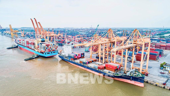 Seaport container handling fees to be adjusted from mid-February 2024 ảnh 1 Seaport container handling fees to be adjusted from mid-February 2024 ảnh 1