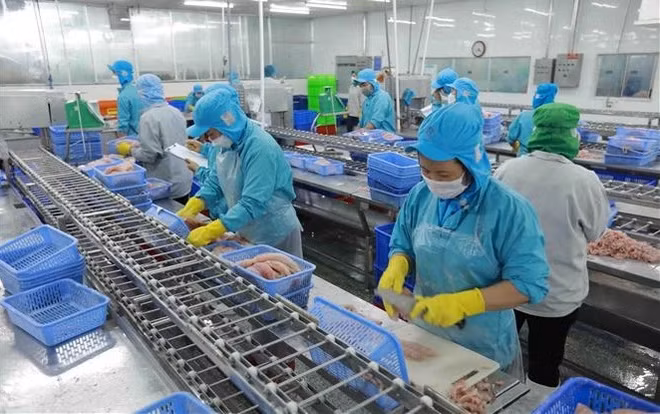 Exporters call for more Gov’t assistance to address difficulties ảnh 2