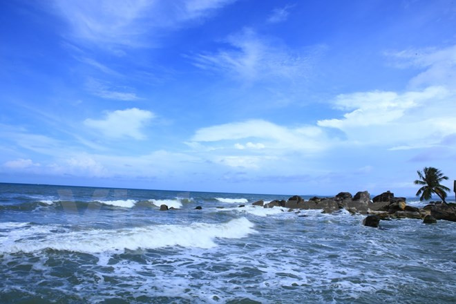 National Tourism Year offers opportunities for Mekong Delta region ảnh 1 National Tourism Year offers opportunities for Mekong Delta region ảnh 1