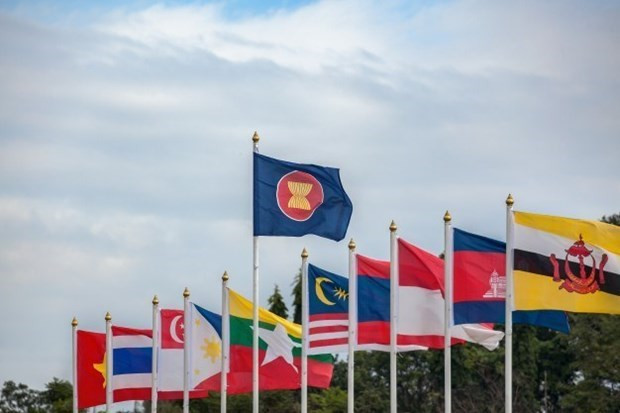 Vietnam joins hands with ASEAN battle against COVID-19 ảnh 1