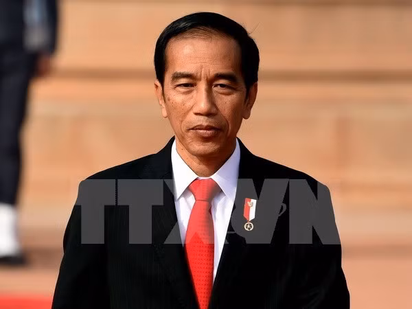 Indonesian President to join ASEAN special summits on COVID-19 ảnh 1
